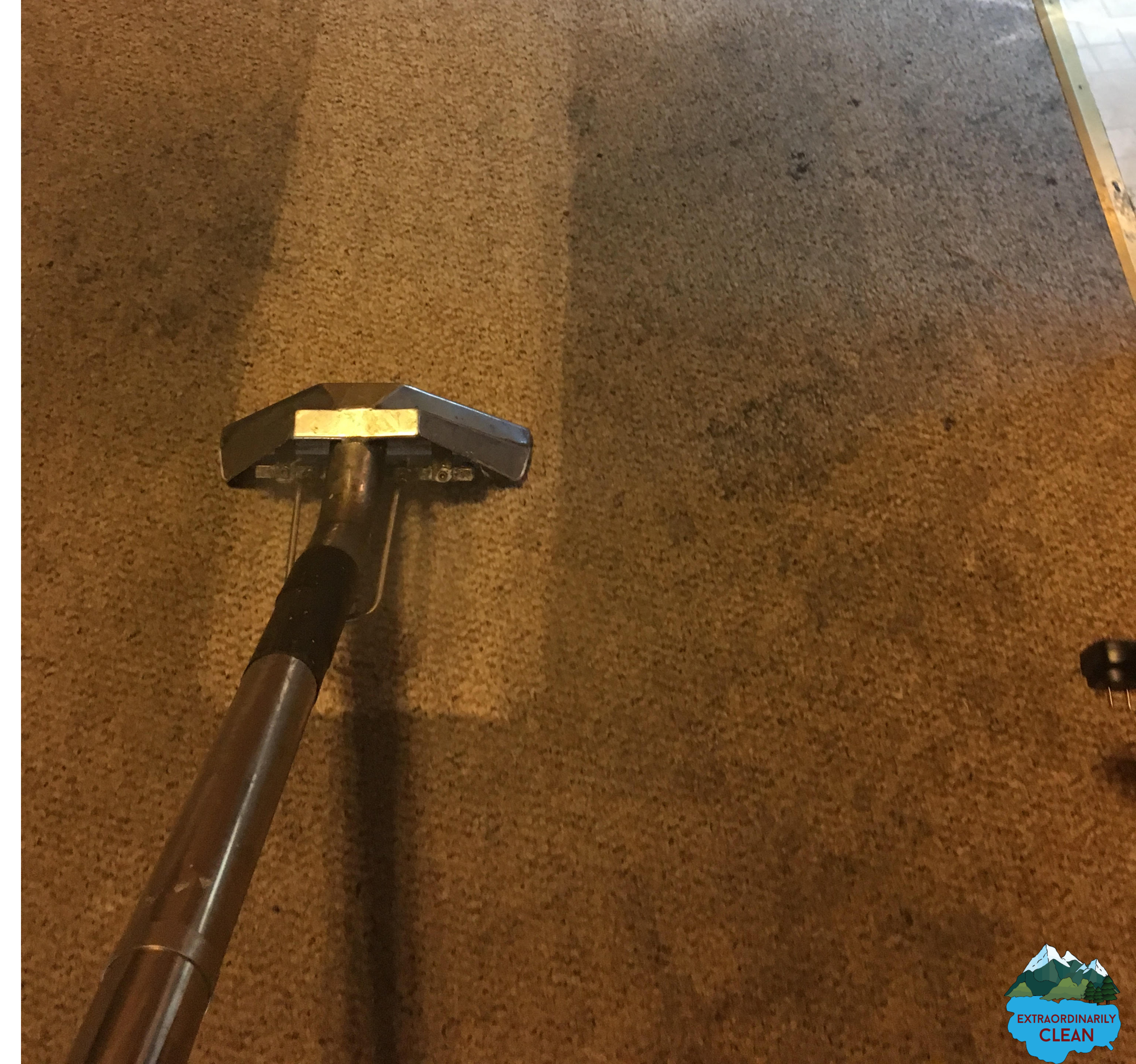 best carpet cleaning tahoe
