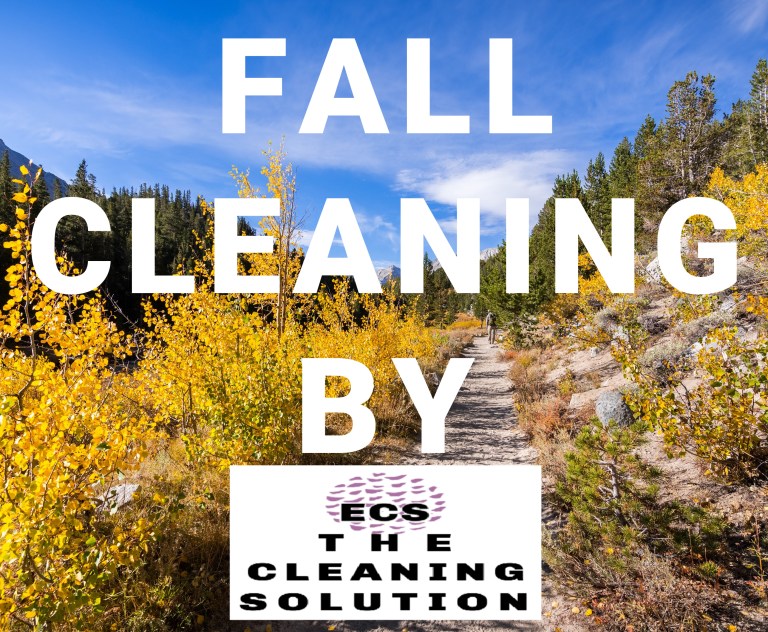 FallResidentialCleaningTahoe-ECS