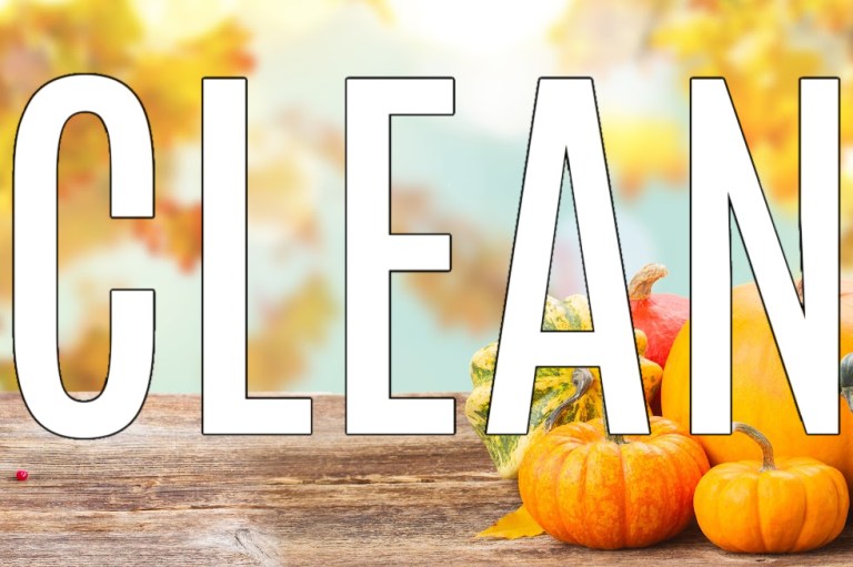 fall cleaning with pumpkins tahoe