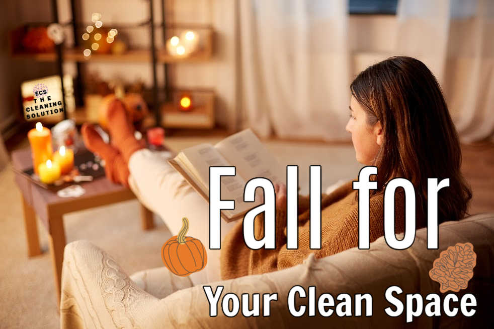 Fall-cleaning-ecs-lake-tahoe-10.13.23