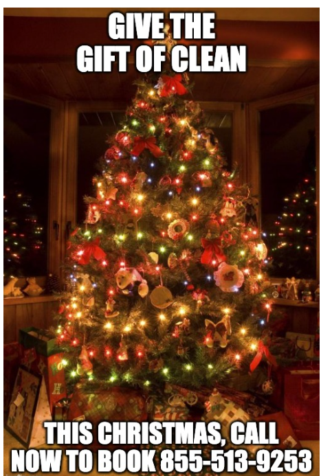 the-perfect-christmas-gift-of-clean-ecs-lake-tahoe with toll free phone number